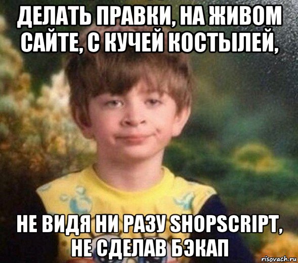 делать правки, на живом сайте, с кучей костылей, не видя ни разу shopscript, не сделав бэкап, Мем Недовольный пацан