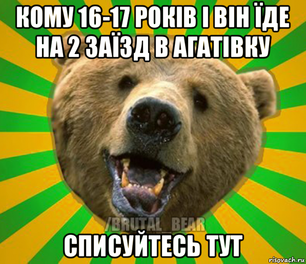 кому 16-17 років і він їде на 2 заїзд в агатівку списуйтесь тут, Мем Нелепый медведь