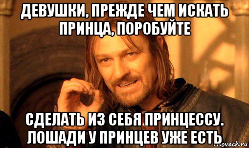 девушки, прежде чем искать принца, поробуйте сделать из себя принцессу. лошади у принцев уже есть, Мем Нельзя просто так взять и (Боромир мем)