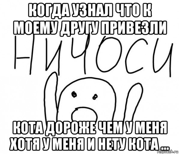 когда узнал что к моему другу привезли кота дороже чем у меня хотя у меня и нету кота ..., Мем  Ничоси