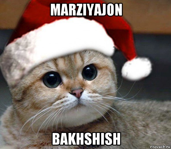 marziyajon bakhshish, Мем Новогодний искатель