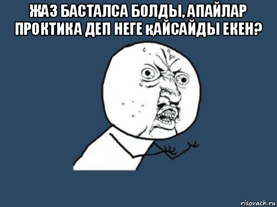 жаз басталса болды, апайлар проктика деп неге қайсайды екен? , Мем Ну почему