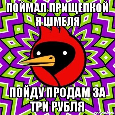 поймал прищепкой я шмеля пойду продам за три рубля, Мем Омская птица