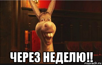  через неделю!!, Мем Осел из Шрека