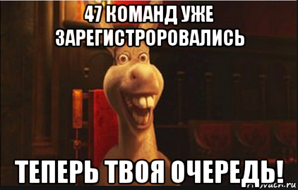 47 команд уже зарегистроровались теперь твоя очередь!, Мем Осел из Шрека