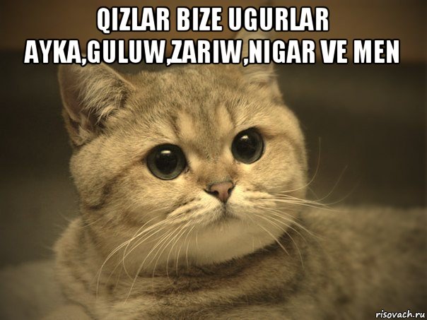 qizlar bize ugurlar ayka,guluw,zariw,nigar ve men , Мем Пидрила ебаная котик