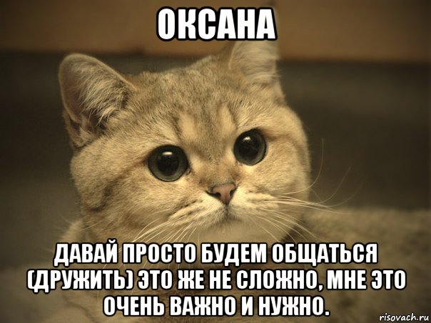 оксана давай просто будем общаться (дружить) это же не сложно, мне это очень важно и нужно., Мем Пидрила ебаная котик