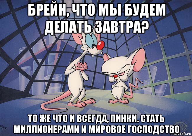 брейн, что мы будем делать завтра? то же что и всегда, пинки. стать миллионерами и мировое господство