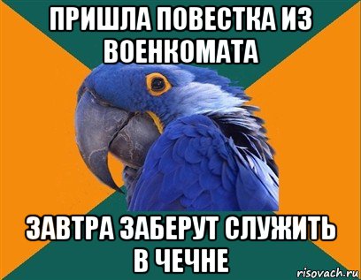 пришла повестка из военкомата завтра заберут служить в чечне, Мем Попугай параноик