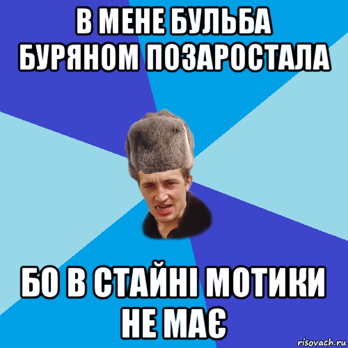 в мене бульба буряном позаростала бо в стайні мотики не має, Мем Празднчний паца