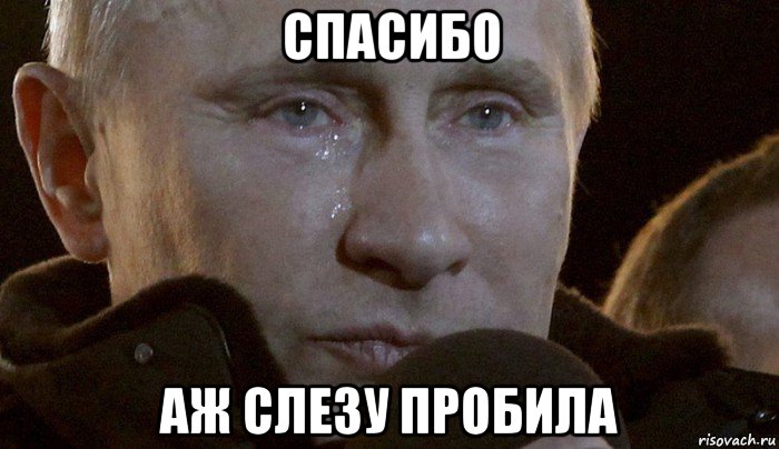 спасибо аж слезу пробила, Мем Плачущий Путин