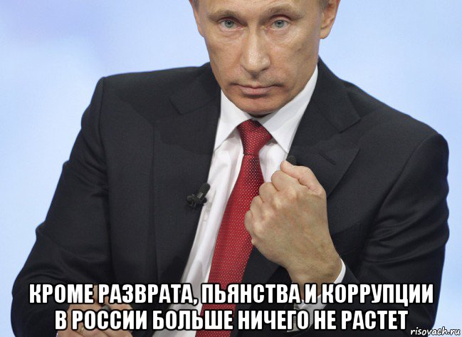  кроме разврата, пьянства и коррупции в россии больше ничего не растет, Мем Путин показывает кулак