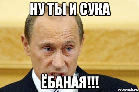 ну ты и сука ёбаная!!!, Мем путин