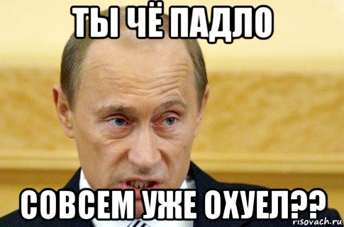 ты чё падло совсем уже охуел??, Мем путин