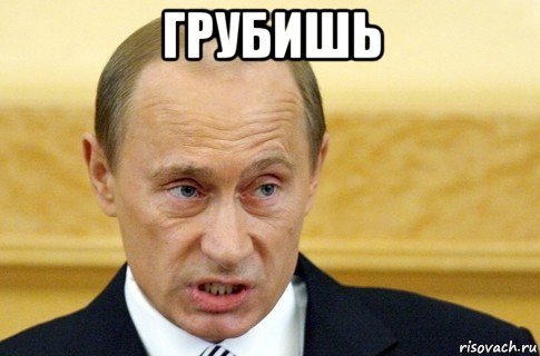 грубишь , Мем путин