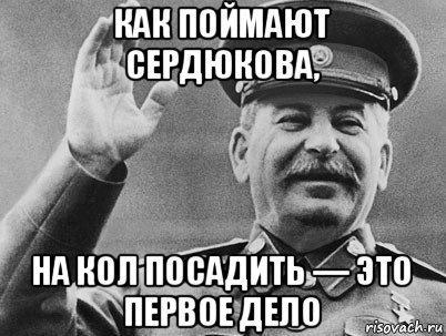 как поймают сердюкова, на кол посадить — это первое дело, Мем   РАССТРЕЛЯТЬ ИХ ВСЕХ