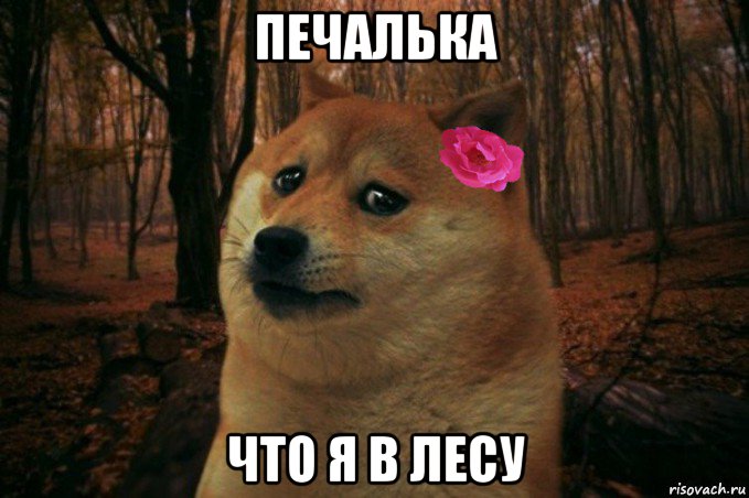 печалька что я в лесу, Мем  SAD DOGE GIRL