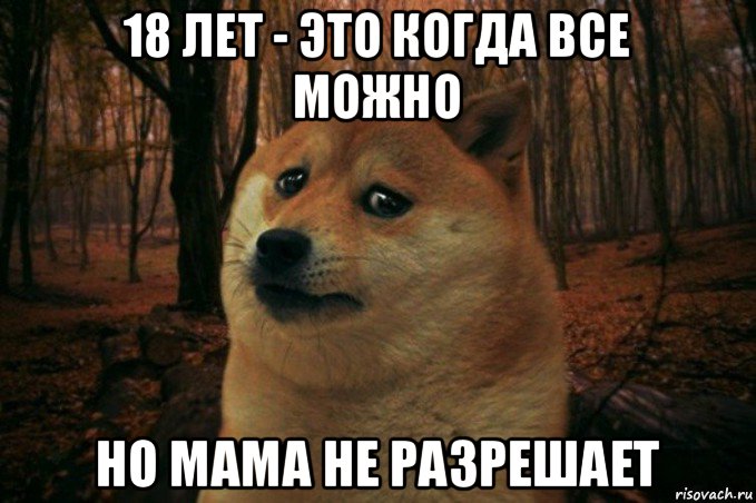 18 лет - это когда все можно но мама не разрешает, Мем SAD DOGE