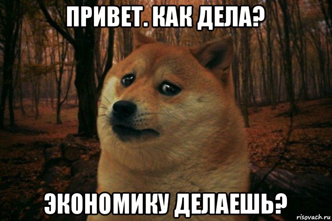 привет. как дела? экономику делаешь?, Мем SAD DOGE