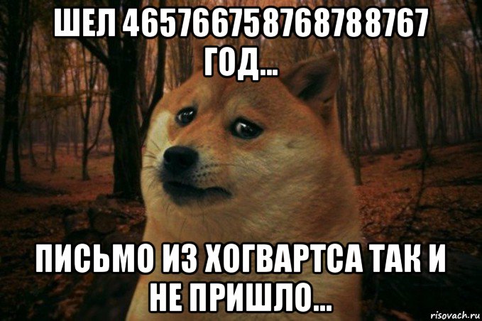 шел 465766758768788767 год... письмо из хогвартса так и не пришло..., Мем SAD DOGE