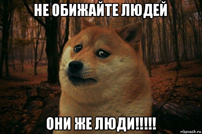 не обижайте людей они же люди!!!!!, Мем SAD DOGE