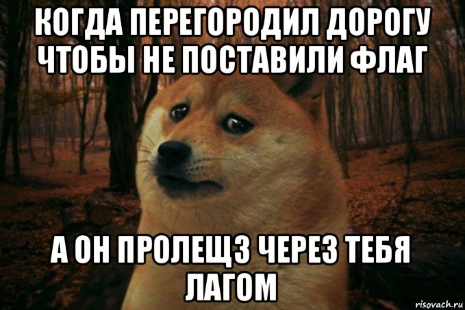 когда перегородил дорогу чтобы не поставили флаг а он пролещз через тебя лагом, Мем SAD DOGE