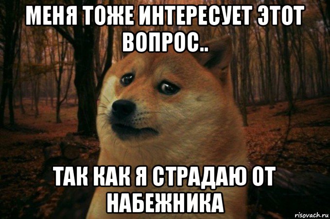 меня тоже интересует этот вопрос.. так как я страдаю от набежника, Мем SAD DOGE