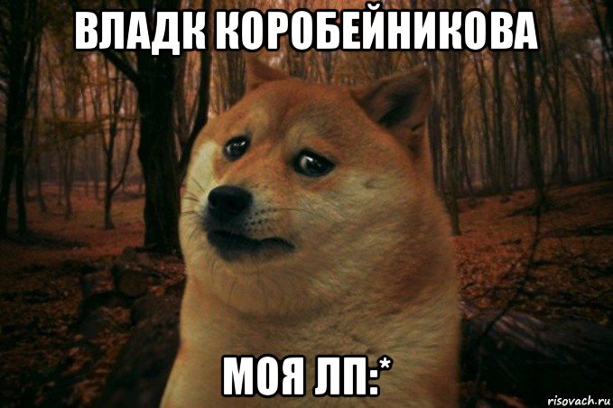 владк коробейникова моя лп:*, Мем SAD DOGE