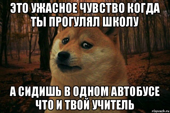 это ужасное чувство когда ты прогулял школу а сидишь в одном автобусе что и твой учитель, Мем SAD DOGE