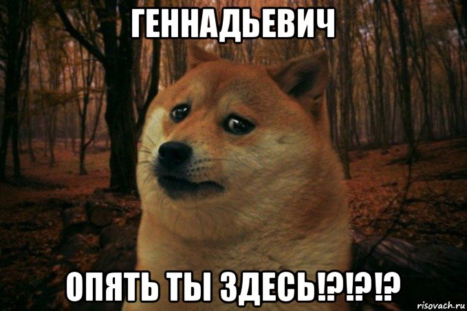 геннадьевич опять ты здесь!?!?!?, Мем SAD DOGE