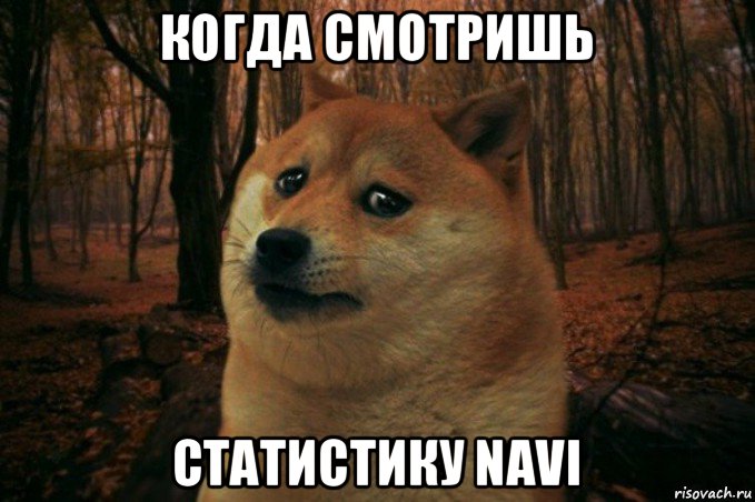 когда смотришь статистику navi, Мем SAD DOGE