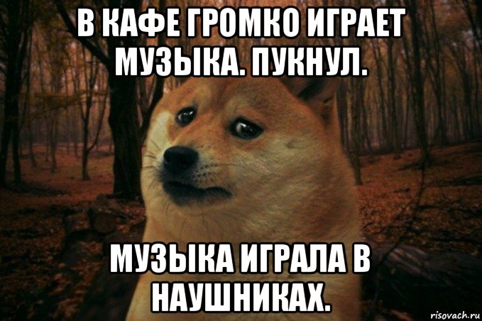 в кафе громко играет музыка. пукнул. музыка играла в наушниках., Мем SAD DOGE