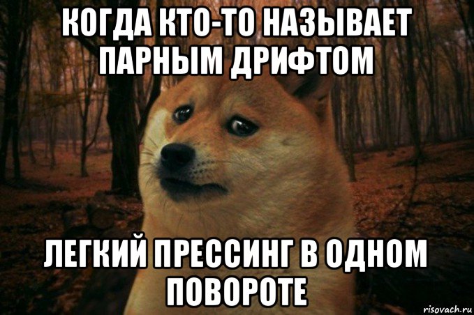 когда кто-то называет парным дрифтом легкий прессинг в одном повороте, Мем SAD DOGE