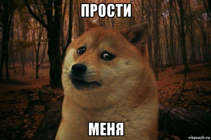 прости меня, Мем SAD DOGE