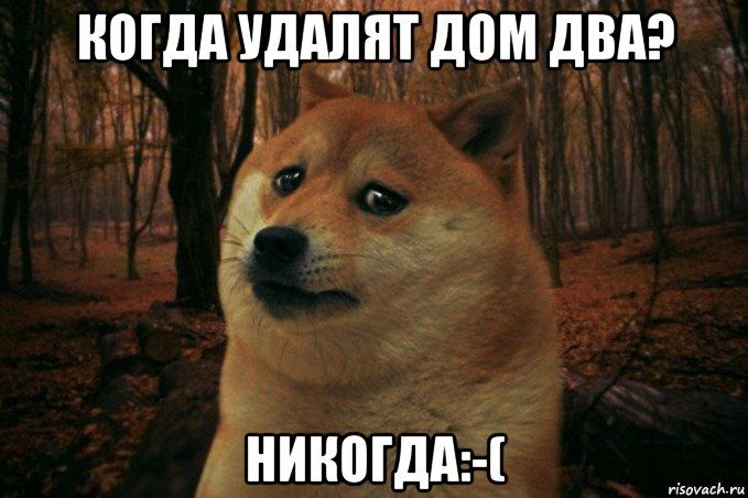 когда удалят дом два? никогда:-(, Мем SAD DOGE