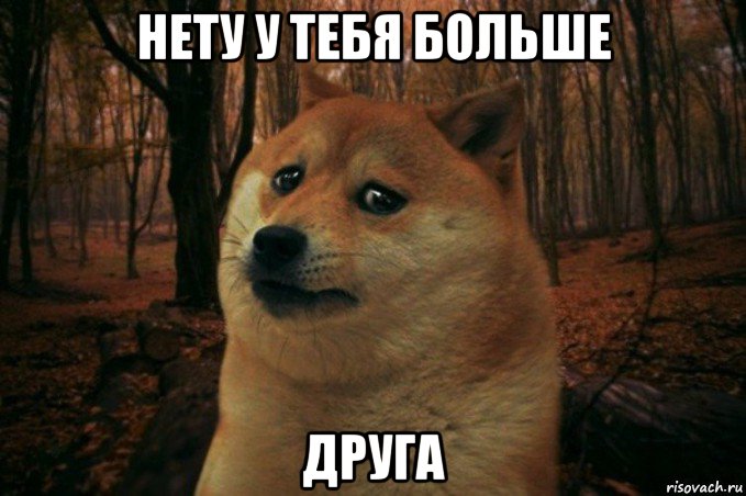 нету у тебя больше друга, Мем SAD DOGE