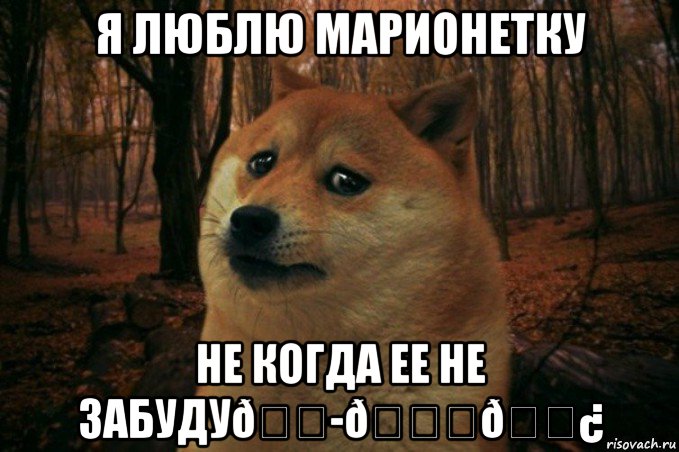 Мем SAD DOGE