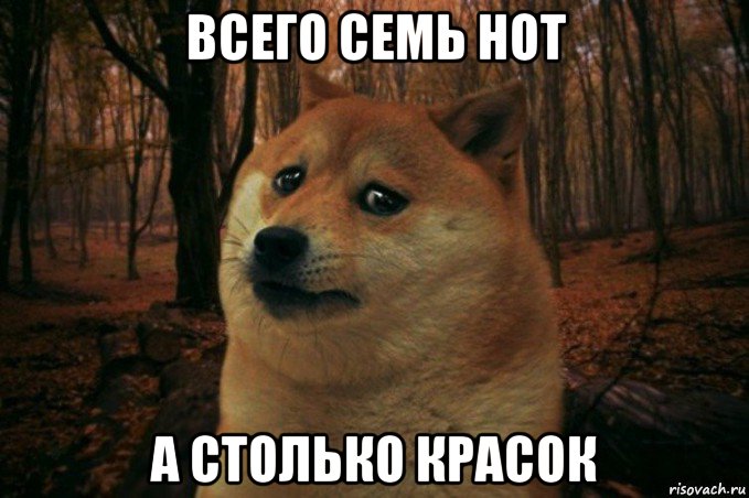 всего семь нот а столько красок, Мем SAD DOGE