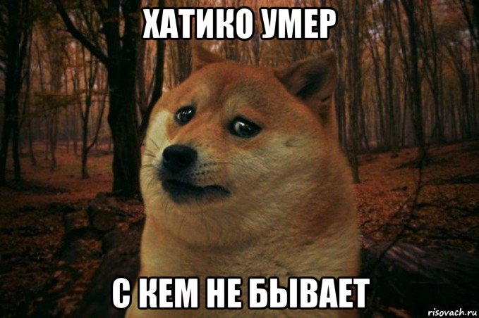 хатико умер с кем не бывает, Мем SAD DOGE