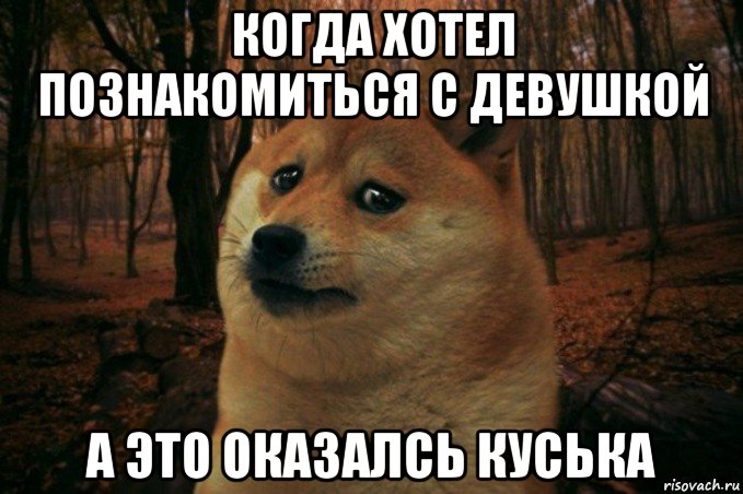 когда хотел познакомиться с девушкой а это оказалсь куська, Мем SAD DOGE