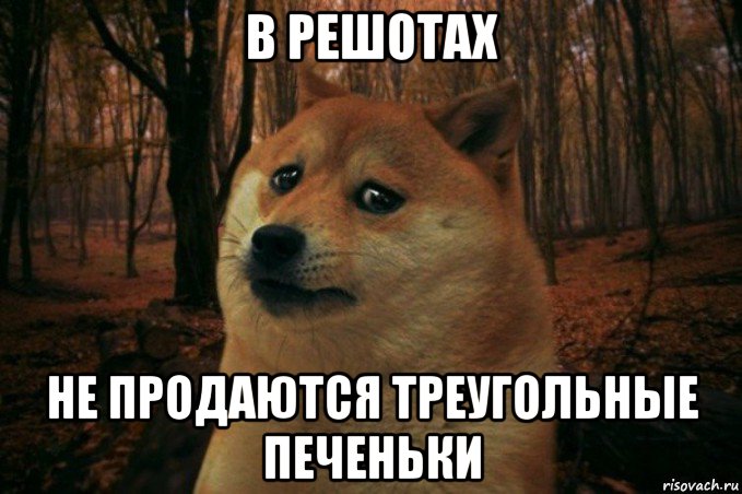 в решотах не продаются треугольные печеньки, Мем SAD DOGE