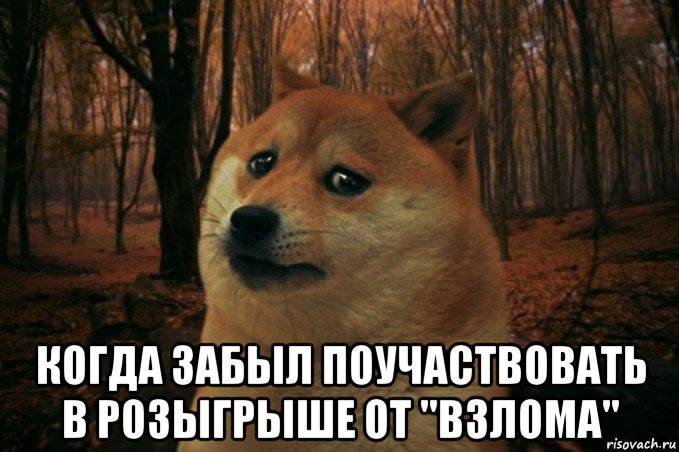  когда забыл поучаствовать в розыгрыше от "взлома", Мем SAD DOGE