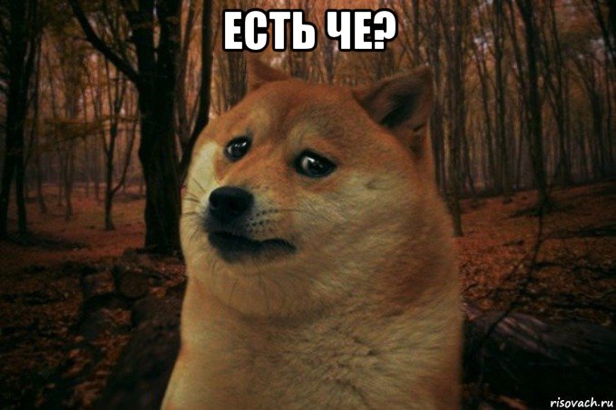 есть че? , Мем SAD DOGE