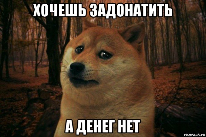 хочешь задонатить а денег нет, Мем SAD DOGE