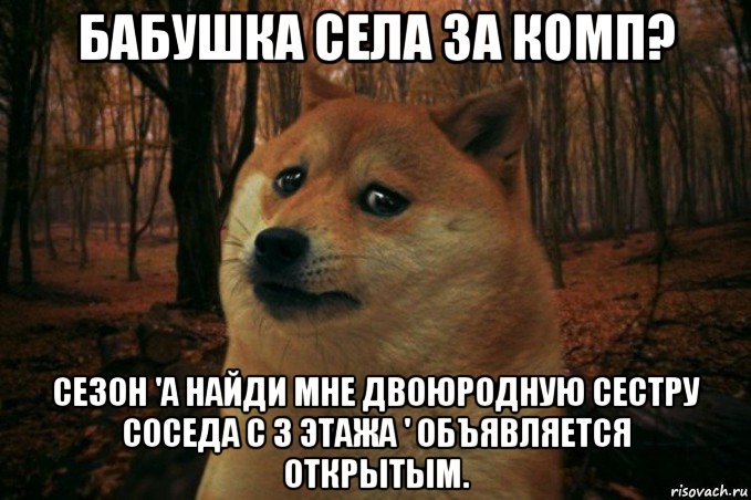 бабушка села за комп? сезон 'а найди мне двоюродную сестру соседа с 3 этажа ' объявляется открытым., Мем SAD DOGE