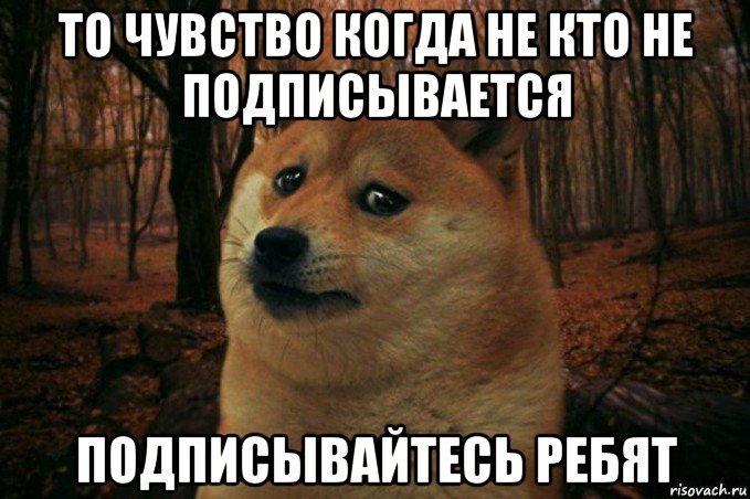 то чувство когда не кто не подписывается подписывайтесь ребят, Мем SAD DOGE