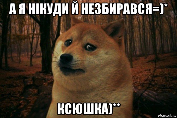 а я нiкуди й незбирався=)* ксюшка)**, Мем SAD DOGE