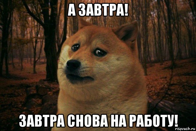 а завтра! завтра снова на работу!, Мем SAD DOGE