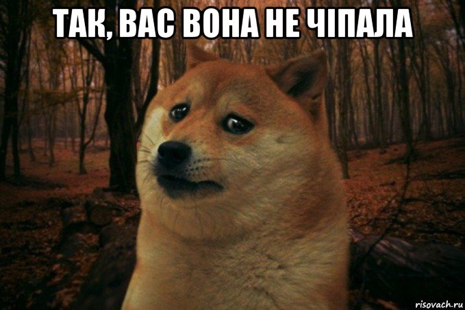 так, вас вона не чіпала , Мем SAD DOGE