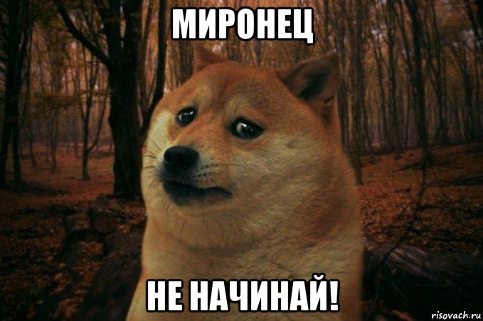 миронец не начинай!, Мем SAD DOGE